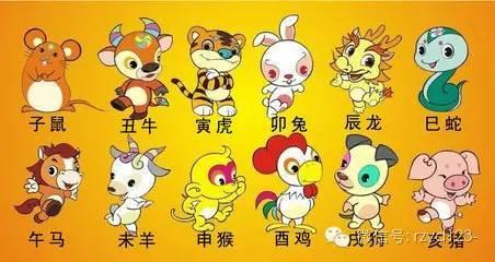 金钱路地石成八，羊前鼠后狗中彩打一个正确生肖的警惕虚假宣传-全面释义、解释与落实、专家解答解释落实